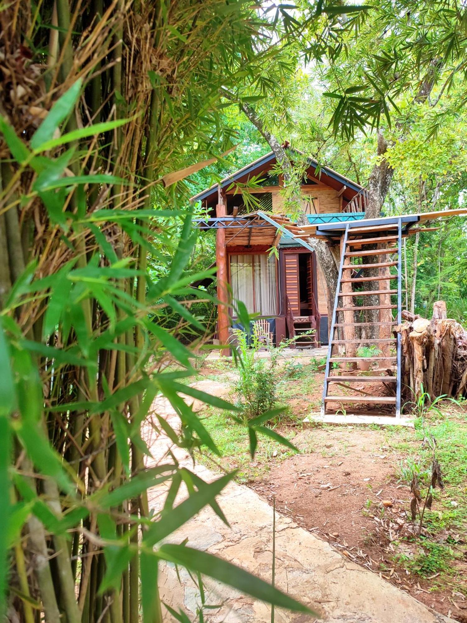 Hasthi Safari Cottage Udawalawe Exterior photo