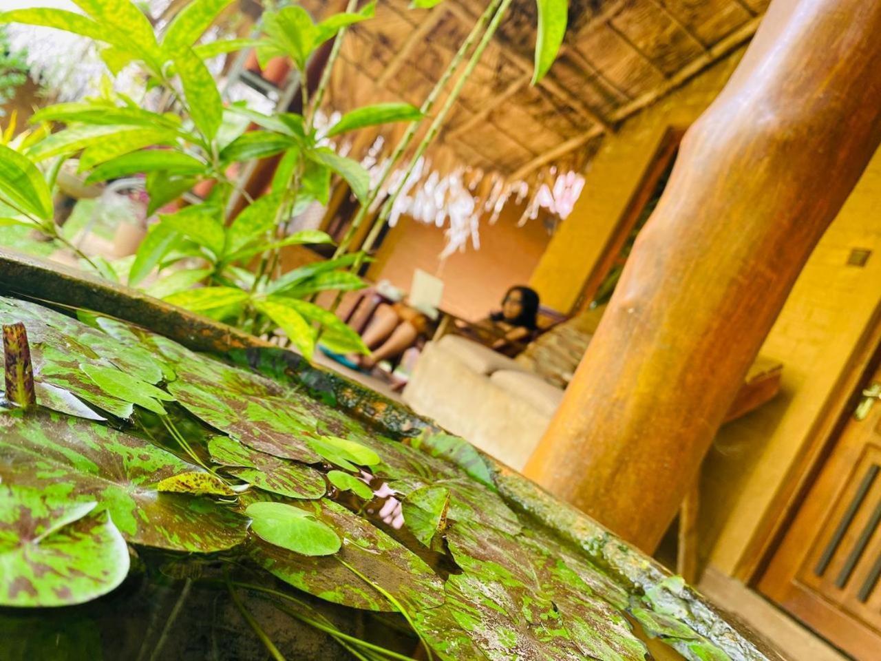 Hasthi Safari Cottage Udawalawe Exterior photo